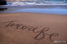 端午节优美句子摘抄（初中作文优美语句摘抄）