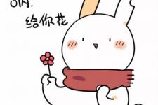 三八祝福语朋友圈（朋友圈说说暖心祝福语录）