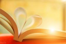 爱的教育故事（优秀教育故事）