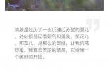 经典短句早安（励志早安心语经典短句）