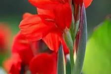 现代打油诗（现代打油诗一首）