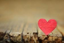 爱情呵你别开花（爱情啊千万别开花）