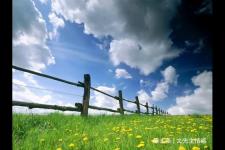 春天来了的说说朋友圈（春天适合发朋友圈的句子）