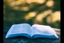 发朋友圈招聘短语（拿去发朋友圈吧）