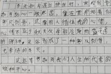 对老师说的一句话（老师的一句话就像一道圣旨）