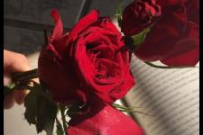 不俗气的结婚祝福语（2022结婚祝福语高级一点的）