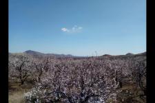 2021年第一场雪的句子（2021年的四季）