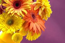 哀思寄语8个字（清明寄托哀思的句子）