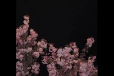 为考试加油的暖心句子（即将考试的考生加油）