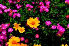 青春之歌诗歌（我的青春之歌）