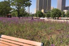 河水哗哗地流着（河水哗哗地流）