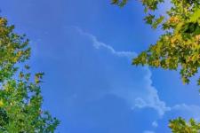 激励孩子努力上进的话（励志孩子努力上进的语句）