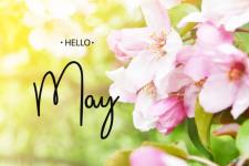 十二月你好的唯美句子（四月再见五月你好唯美短句子）