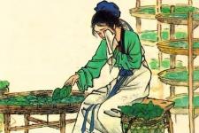 劳动的句子唯美简短（描写劳动的句子）