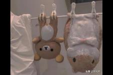 春节祝福语2022最火简短（2022年虎年春节祝福语短句）