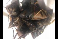 端午节手抄报内容简短（端午节手抄报内容资料推荐）