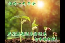 精美散文（原创精美散文）