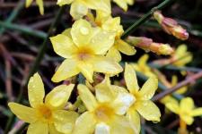 妈妈的祭日（妈妈的忌日(散文)）