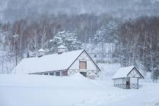 关于人生哲理的名言（人生哲理的名言警句）