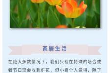 花与生活（--花与生活）