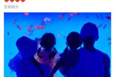 谢娜比张杰大多少（张杰谢娜晒照庆结婚9周年）