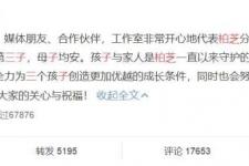 张柏芝承认三胎（张柏芝承认三胎生子）