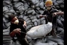 现在水泥为什么涨（为什么水泥价格上涨这么快）