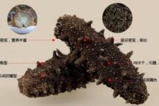 海参的挑选怎么挑（海参怎么挑选）