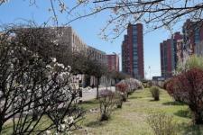 中考300分左右能上什么学校（中考300分左右的）