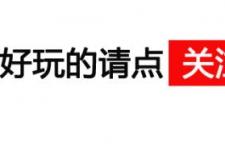 雅阁十代2021款报价（十代雅阁最低16.98万）