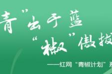 河南元宵晚会是实景拍摄（河南元宵晚会再度出圈）