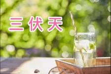 21年三伏天的时间表（2021年三伏天时间表公布）