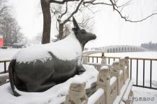 北京情人节好去处（2021情人节好去处）