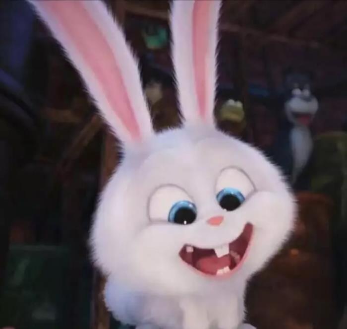网红小兔子头像 微信图片