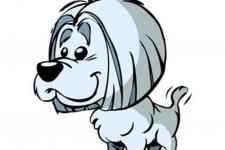 1982年属狗的人2013年运程（属狗的人2019年运程）