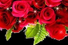 7月7情人节（今天是7月7日情人节）