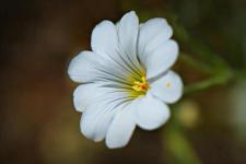 让情人回心转意的绝招（面对背叛者的回心转意）