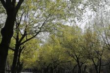 生活中的酸甜苦辣（生活中的酸甜苦辣咸）