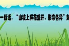 写一段话（围绕中心写一段话）