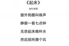 打油诗集（旺财打油诗诗集）