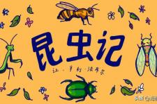 昆虫记读书笔记（读书笔记(共5篇)）