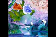 千古绝句最美句子（千古绝句意境最美之诗词）