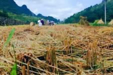 生活中的美作文（生活中的美--完结篇）