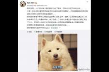 非主流网名伤感（我们一起取过的非主流网名）