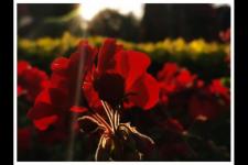 夫妻之间要怎么沟通（夫妻之间如何更好地沟通）