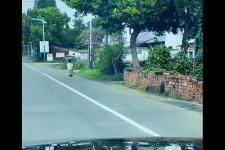 老婆一生气就离家出走怎么办（独自踩滑板离家出走）