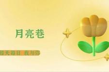 老是吵架的婚姻要不要继续下去（过不下去的婚姻）