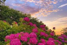 和老公没感情了想离婚怎么办（夫妻之间没感情了）