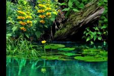 女人在等你挽回的表现（女人想离开你的前兆）