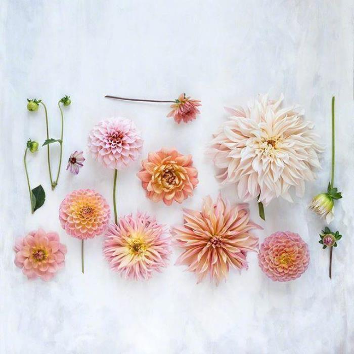 淡然随心的说说 心情说说短句 随心